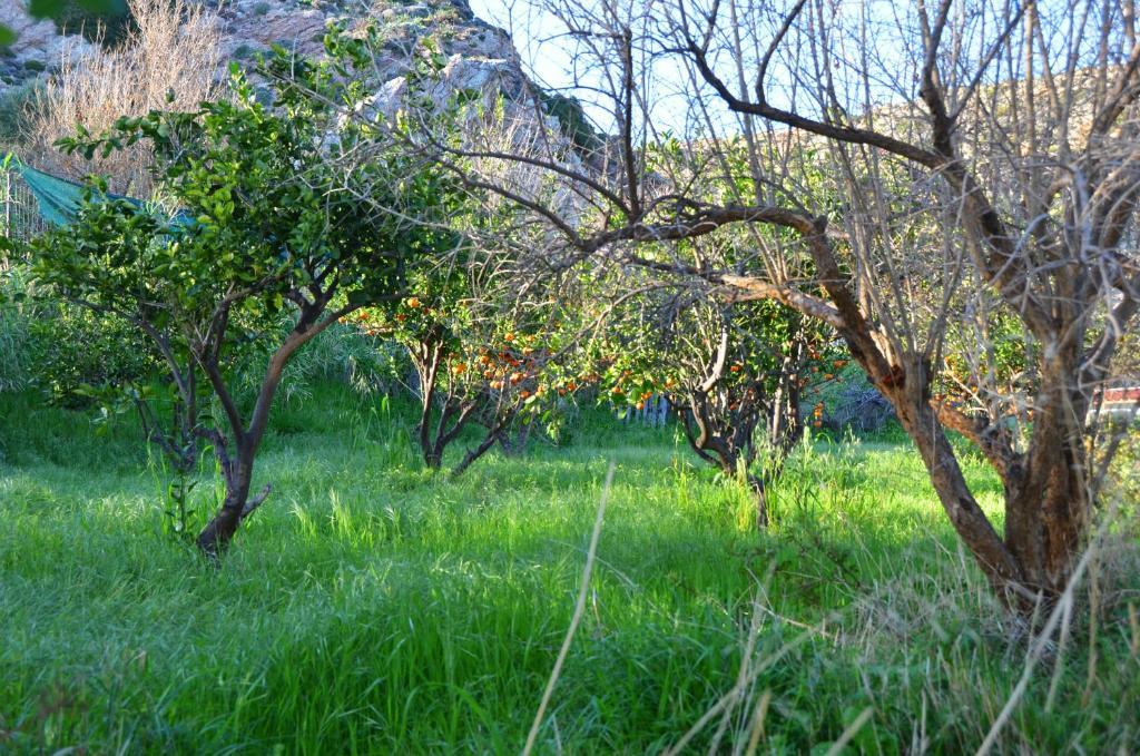 Apartamento George's Archangelos (Rhodes)